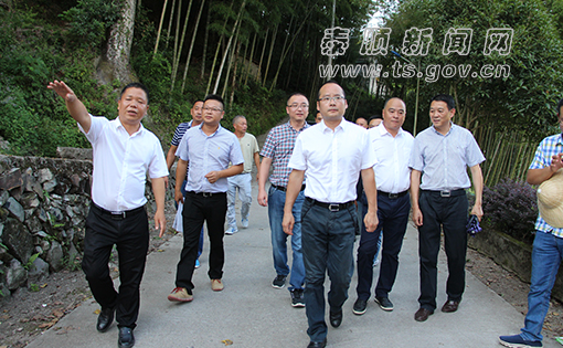 泰顺新闻网 领导报道集 县长报道集 正文