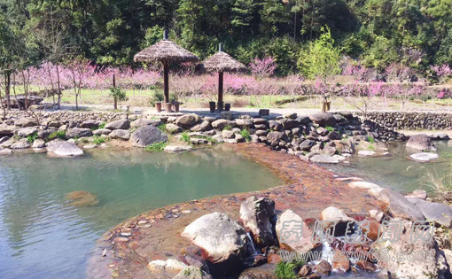 大溪源村:十里桃花笑春风--泰顺新闻网
