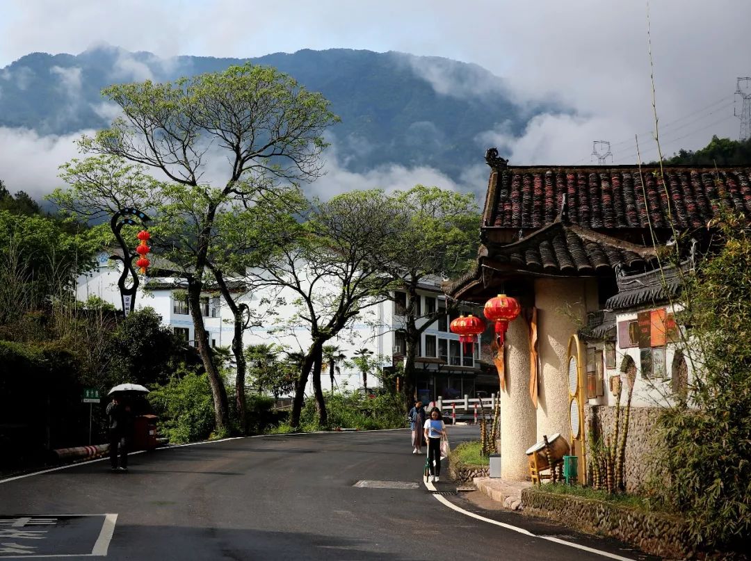 不容错过的旅游景点——竹里畲族乡竹里村--泰顺新闻网