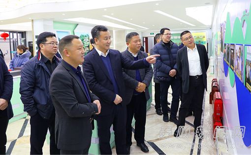 泰顺县委书记林万乐调研农业农村工作:在乡村振兴中展现新作为