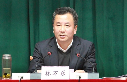 泰顺县委书记林万乐深化两最和最美乡愁村建设秀出泰顺城乡发展高颜值