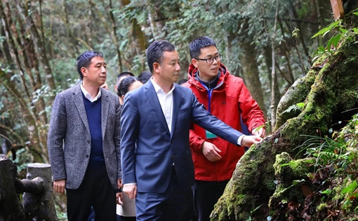 泰顺县委书记林万乐调研旅游工作:做好四个"聚"文章 推动泰顺旅游高