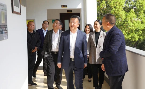 泰顺县委书记林万乐调研旅游工作:做好四个"聚"文章 推动泰顺旅游高