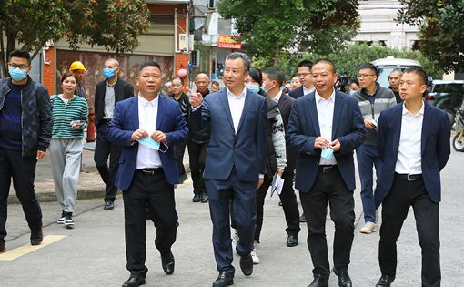 泰顺县委书记林万乐督查全国文明城市创建工作