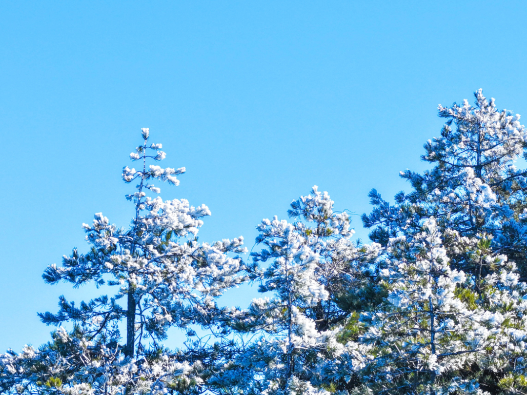 ��ڡ����ڡ��������߷���������ڡ��