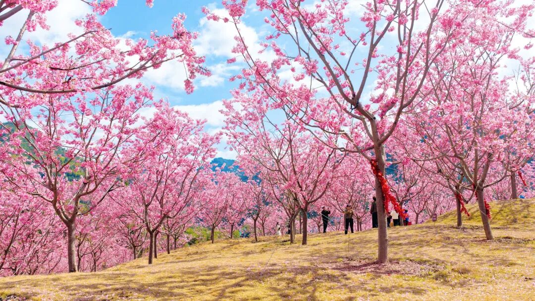 ѩϪ��ӣ�����ˣ��㲻��������