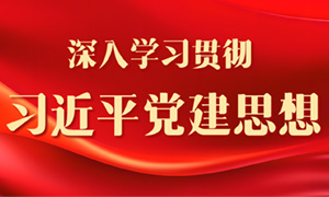 ��ר�⡿����ѧϰ�᳹ϰ��ƽ����˼��